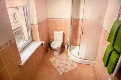 a bathroom with a toilet and a shower at Kambarių nuoma Žasliuose in Žasliai