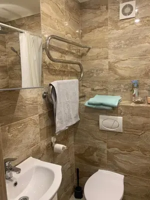 a bathroom with a toilet and a sink at Vytauto 36a in Zarasai