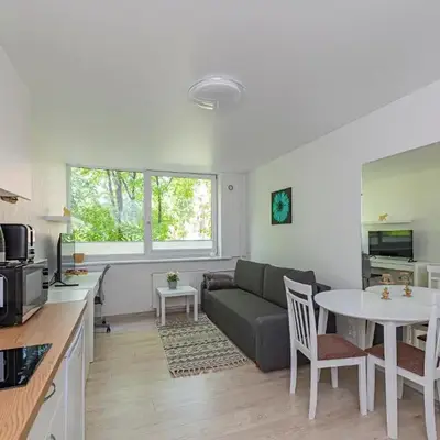 Partizanų studio apartment #2 by Polo Apartments