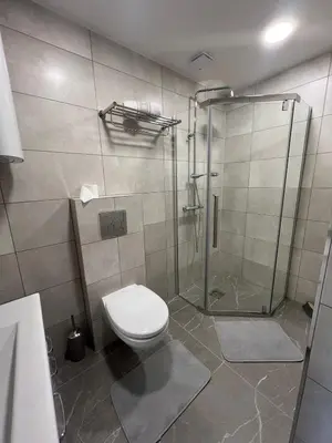 a bathroom with a shower and a toilet at Patrick in Šveicarija