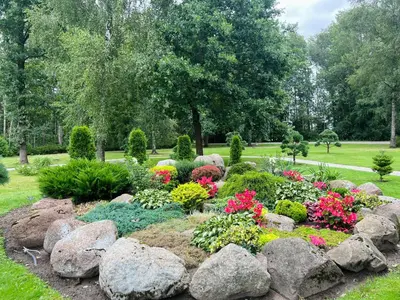 a garden with rocks and flowers in a yard at Vėjukai in Viduklė