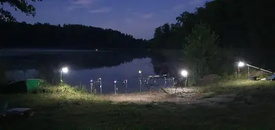 a lake at night with lights on the shore at Šnekučių kaimas in Miežonys