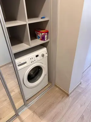 a laundry room with a washing machine in a closet at Studio flat Centrinis Butukas in Kėdainiai