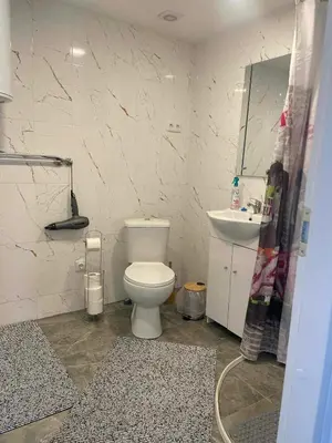 a bathroom with a toilet and a sink at Jolantos svečių namai in Rokiškis