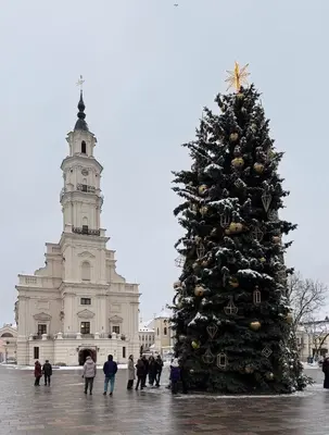 a christmas tree in front of a large building at Green House Apartment in Kaunas