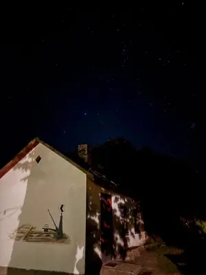 a painting on the side of a building at night at Vilties vila in Anykščiai