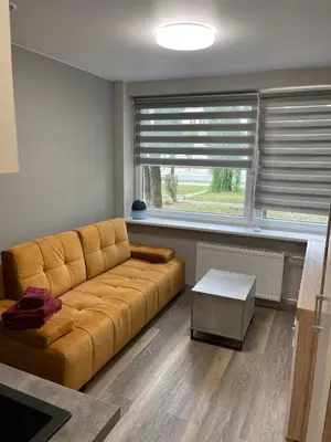 a living room with a brown couch and a window at 24h self check-in COZY VISIT Studio3 on the first floor in Kaunas