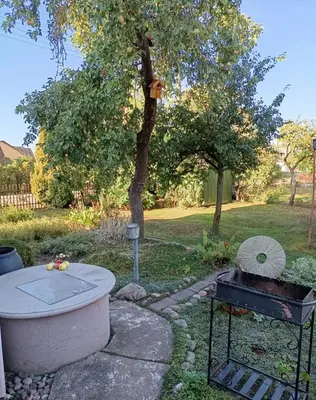 a garden with a hot tub and a tree at Cosy Charming Guest House in central of Marijampole in Marijampolė