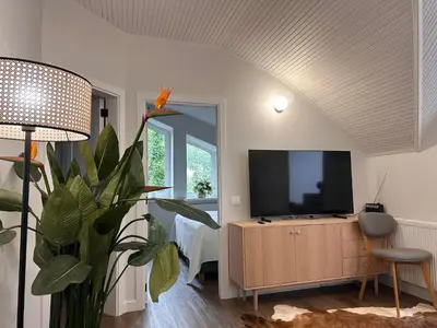 a living room with a television and a plant at Aqua Lagoon Druskininkai in Druskininkai