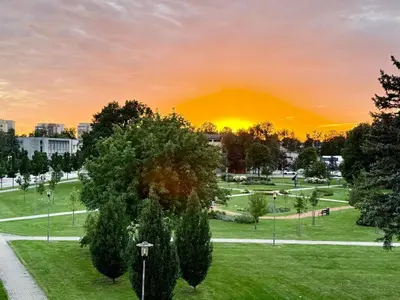 a sunset in a park with a large tree at Central Modern Two Bedroom Apartment in Druskininkai