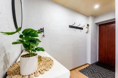 a potted plant sitting on a counter in a room at Cozy Coner Apartments in Kaunas