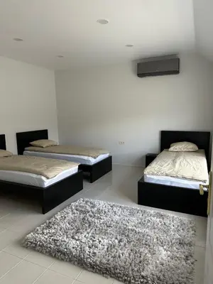 two beds in a room with a rug at Apartamentai LUKA in Marijampolė