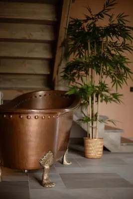 two potted plants sitting on a floor next to a pot at Shanti Resort & Deluxe SPA in Sarboriškės I