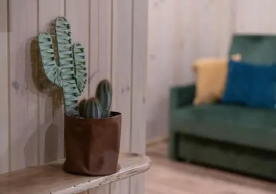 a potted plant sitting on a table next to a couch at GobeHouse Sodyba in Vilkanastrai