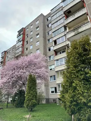 an apartment building with a flowering tree in front of it at Baltijos Apartment in Kaunas