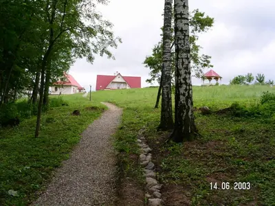 a path in the middle of a field with trees at Lauryno sodyba in Suviekas