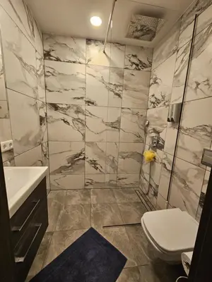 a bathroom with a shower and a toilet at Kaunas Pramogų kambarys in Kaunas