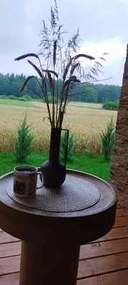 a table with a vase with flowers and a coffee mug at Mango namelis in Žuvininkai