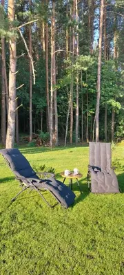 a picnic table and a chair in the grass at Mango namelis in Žuvininkai