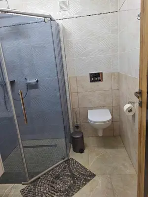 a bathroom with a shower and a toilet at Rent Olamit in Karkazai