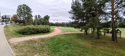 a dirt road in a park with a bench and trees at Ozas Park Apartments in Vilnius
