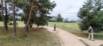 a man walking a dog on a dirt path in a park at Ozas Park Apartments in Vilnius