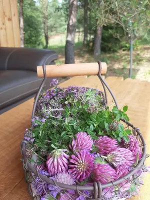 a basket filled with purple flowers on a table at Terra Gratia - namukas Išminčius in Nemeikšiai