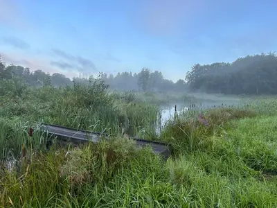 a boat sitting in the grass in a field at Terra Gratia - namukas Išminčius in Nemeikšiai