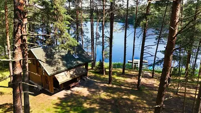 a truck parked next to a lake in a forest at Namelis Pušyne in Pailgis