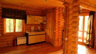 a kitchen in a log cabin with a stove at Namelis Pušyne in Pailgis