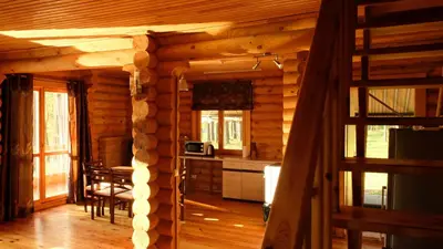 a kitchen and living room in a log cabin at Namelis Pušyne in Pailgis