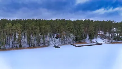 an aerial view of a forest with snow and trees at Namelis Pušyne in Pailgis