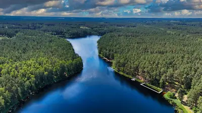 an aerial view of a river in a forest at Namelis Pušyne in Pailgis