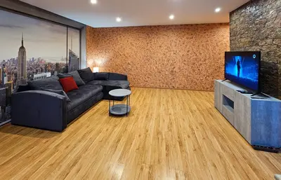a living room with a couch and a tv at SunCity Apartment in Šiauliai