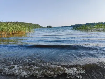 a large body of water with trees in the distance at Vila Pakaso malūnas in Kirdeikiai