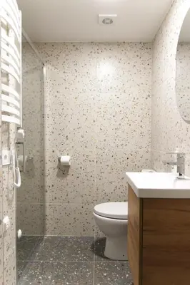 a bathroom with a toilet and a sink and a shower at Vila Pakaso malūnas in Kirdeikiai