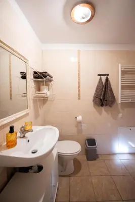 a bathroom with a sink and a toilet and a mirror at Angelica Apartment in Vilnius