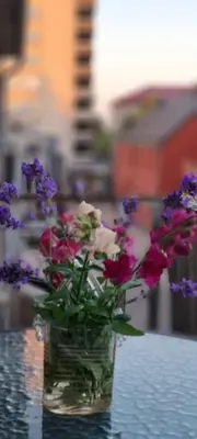 a glass vase filled with flowers sitting on a table at city center apartment in Panevėžys
