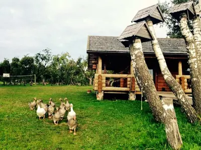 Gallery image of Cozy cabin by the lake in ecological farm Kemešys in Šiškiniai