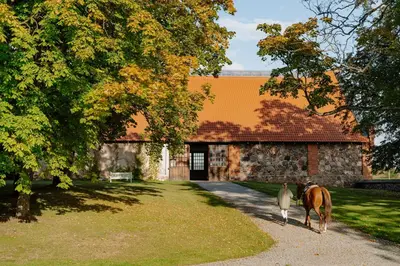 a horse walking down a path in front of a building at Aštriosios Kirsnos dvaras in Aštrioji Kirsna