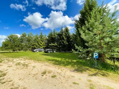 a parking lot with a parking sign next to a pine tree at Marga Pieva in Inturkė