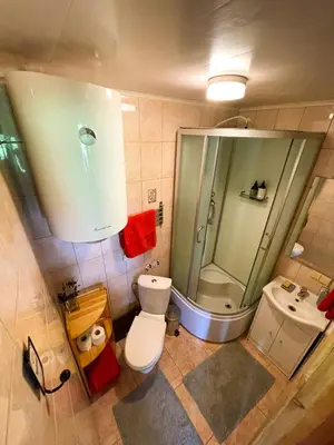 a bathroom with a shower and a toilet and a sink at Marga Pieva in Inturkė