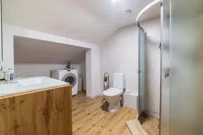 a bathroom with a toilet and a sink and a washing machine at Fox studio mezzanine in Šiauliai
