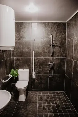 a bathroom with a toilet and a shower at Hillas in Tauragnai