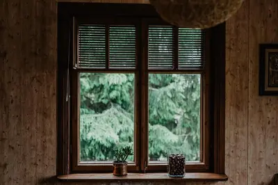 a window with two potted plants in front of it at Hillas in Tauragnai