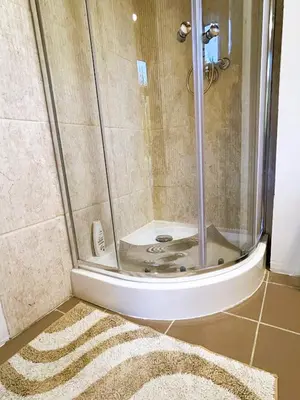 a shower in a bathroom with a rug at Raimundėlio sodyba in Rokiškis