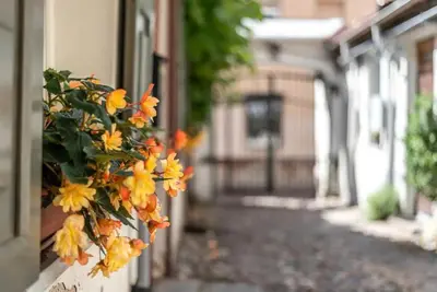 a bunch of yellow flowers hanging from a building at Studio apartment in Oldtown #F in Vilnius