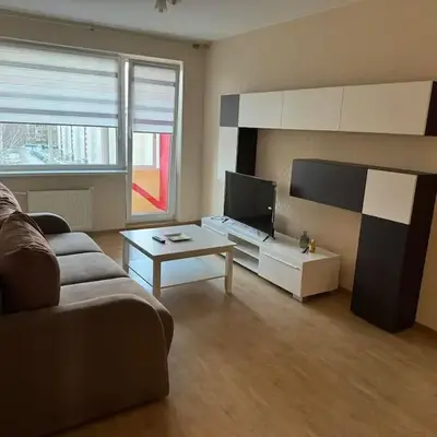Spacious&cozy south apartment
