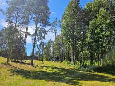 a field with trees and a house in the distance at Varėnės sodyba in Vėžionys