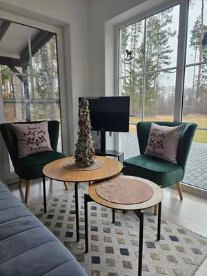 a living room with a christmas tree on a table at Varėnės sodyba in Vėžionys
